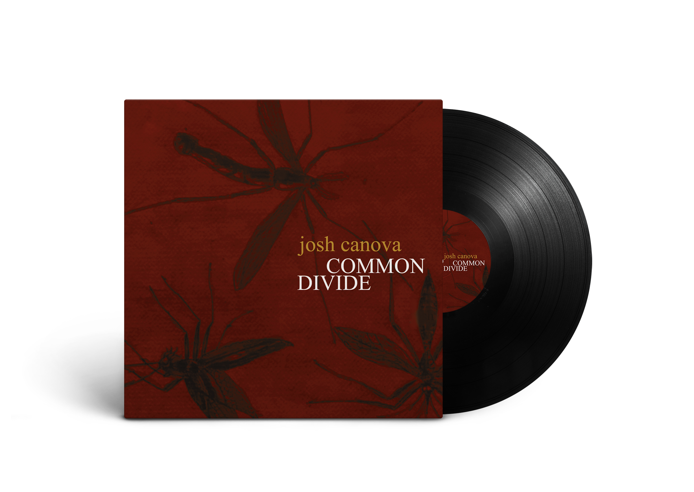 Common Divide autographed vinyl